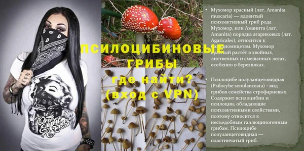 мескалин Абинск