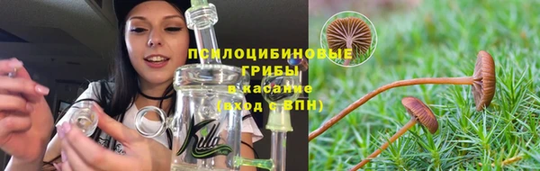 спиды Алексин