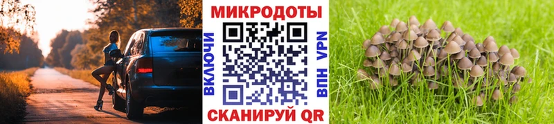 Галлюциногенные грибы Psilocybine cubensis  Абакан 