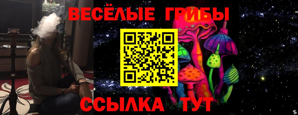 где найти наркотики  Псилоцибиновые грибы мицелий  Галлюциногенные грибы Psilocybe  Вход с VPN  Абакан 
